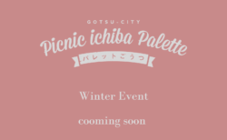picnic ichiba palette
